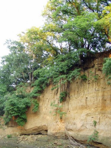 Přírodní památka Olšava - 30.8.2006